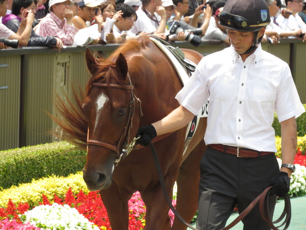 f:id:giant_killing:20170610224207j:plain f:id:giant_killing:20170610224207j:plain