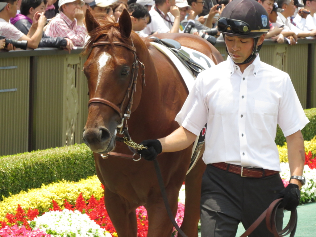 f:id:giant_killing:20170610224243j:plain f:id:giant_killing:20170610224243j:plain