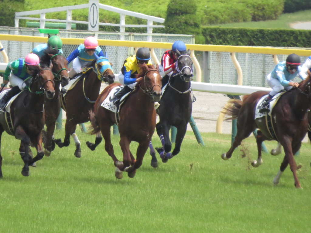 f:id:giant_killing:20170610225332j:plain f:id:giant_killing:20170610225332j:plain