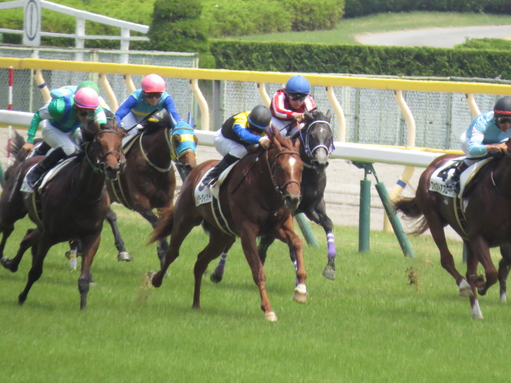 f:id:giant_killing:20170610225337j:plain f:id:giant_killing:20170610225337j:plain