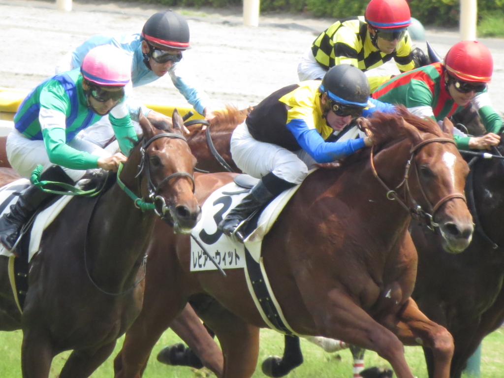 f:id:giant_killing:20170610225436j:plain f:id:giant_killing:20170610225436j:plain