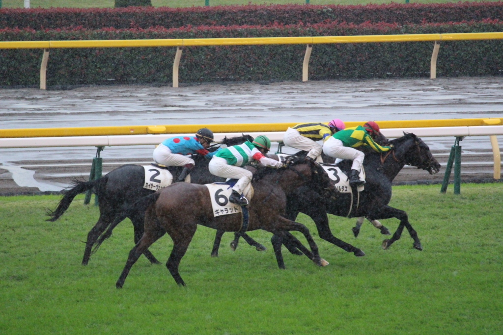 f:id:giant_killing:20171031094119j:plain f:id:giant_killing:20171031094119j:plain