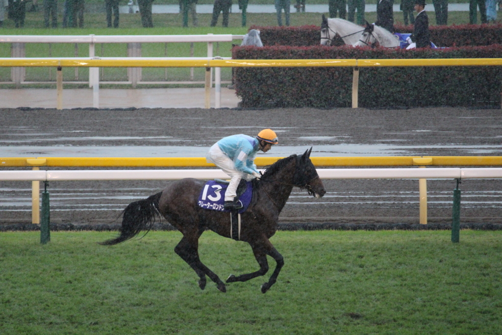 f:id:giant_killing:20171031101251j:plain f:id:giant_killing:20171031101251j:plain