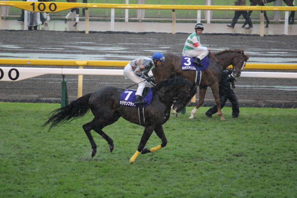 f:id:giant_killing:20171031101940j:plain f:id:giant_killing:20171031101940j:plain