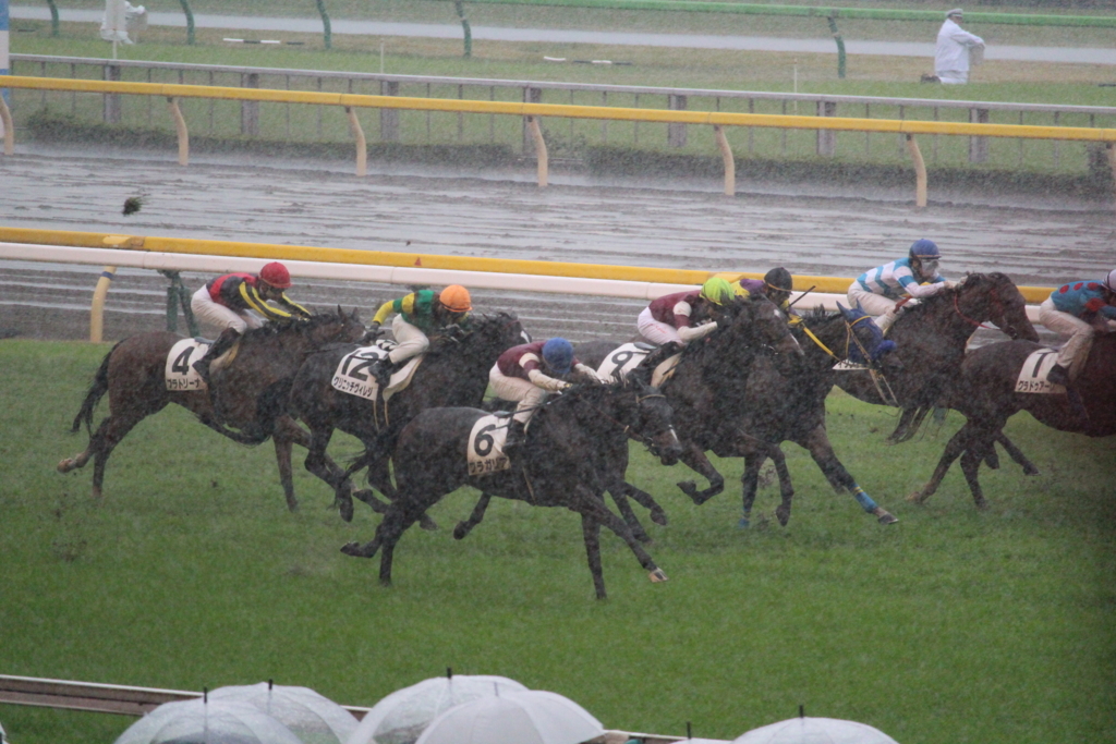 f:id:giant_killing:20171031174831j:plain f:id:giant_killing:20171031174831j:plain