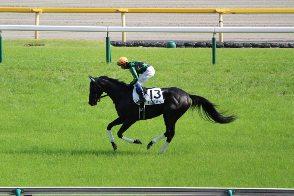 f:id:giant_killing:20180529125201j:plain