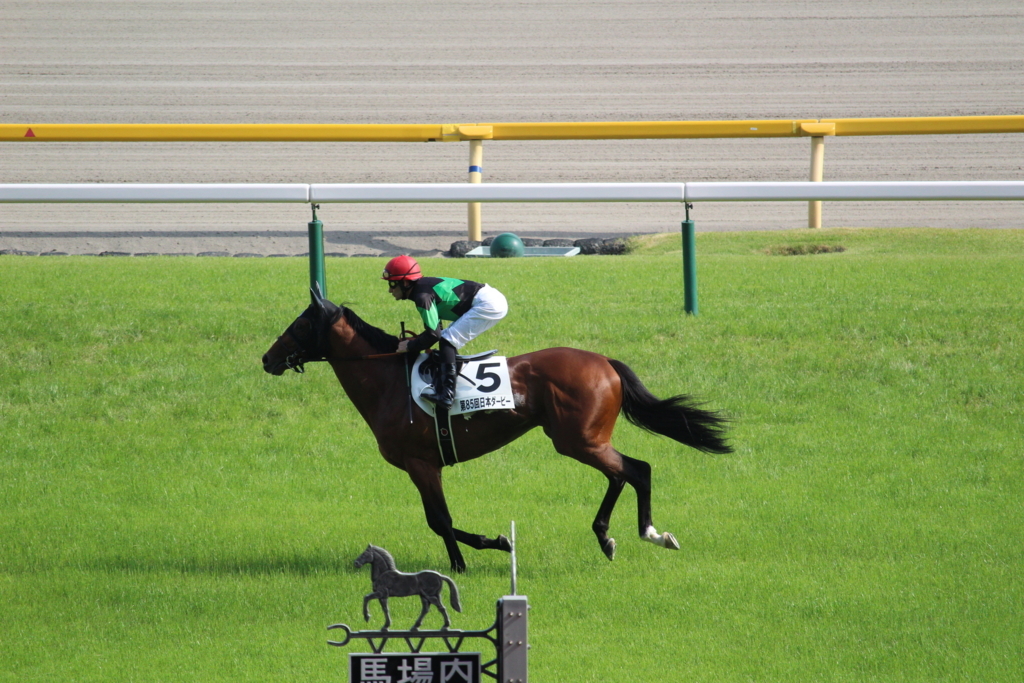 f:id:giant_killing:20180529125415j:plain