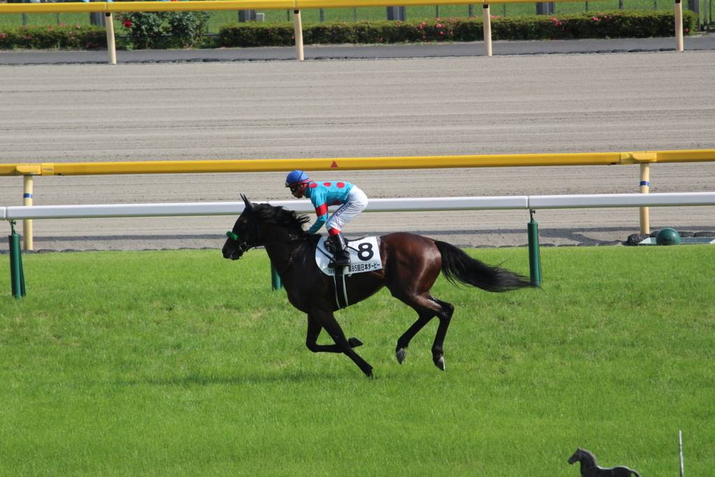 f:id:giant_killing:20180529125628j:plain