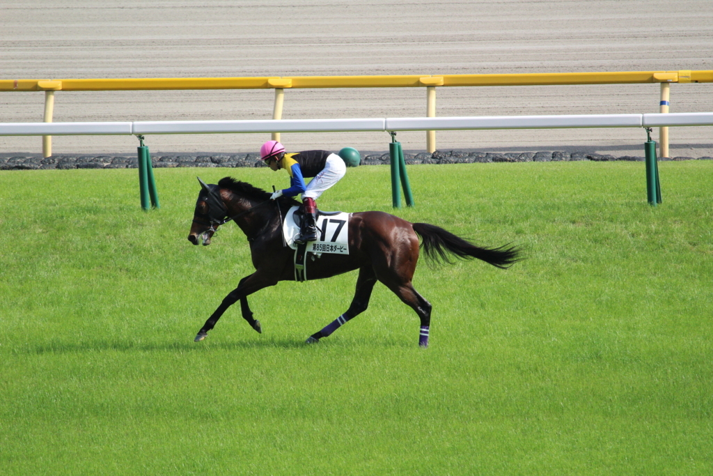 f:id:giant_killing:20180529131909j:plain