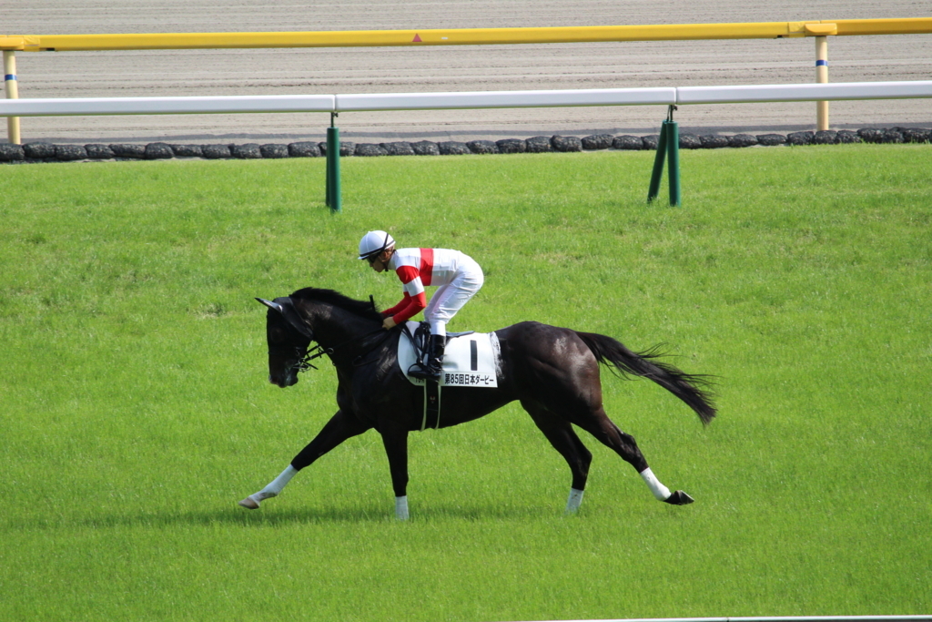 f:id:giant_killing:20180529132117j:plain