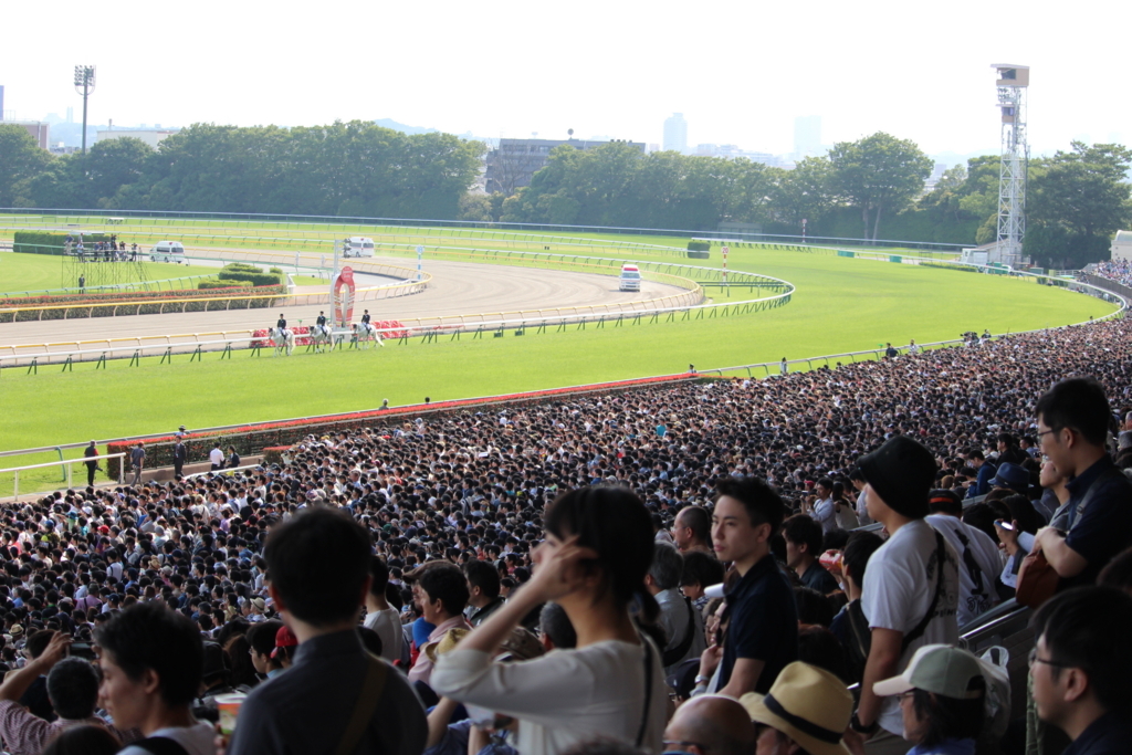 f:id:giant_killing:20180529132641j:plain