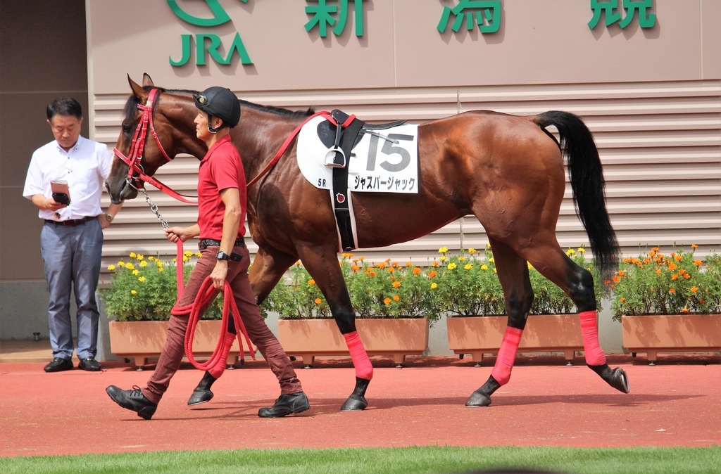 f:id:giant_killing:20180908221748j:plain