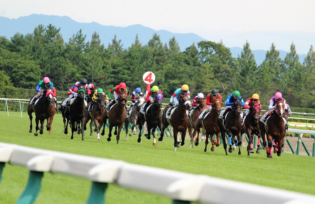 f:id:giant_killing:20180908222223j:plain