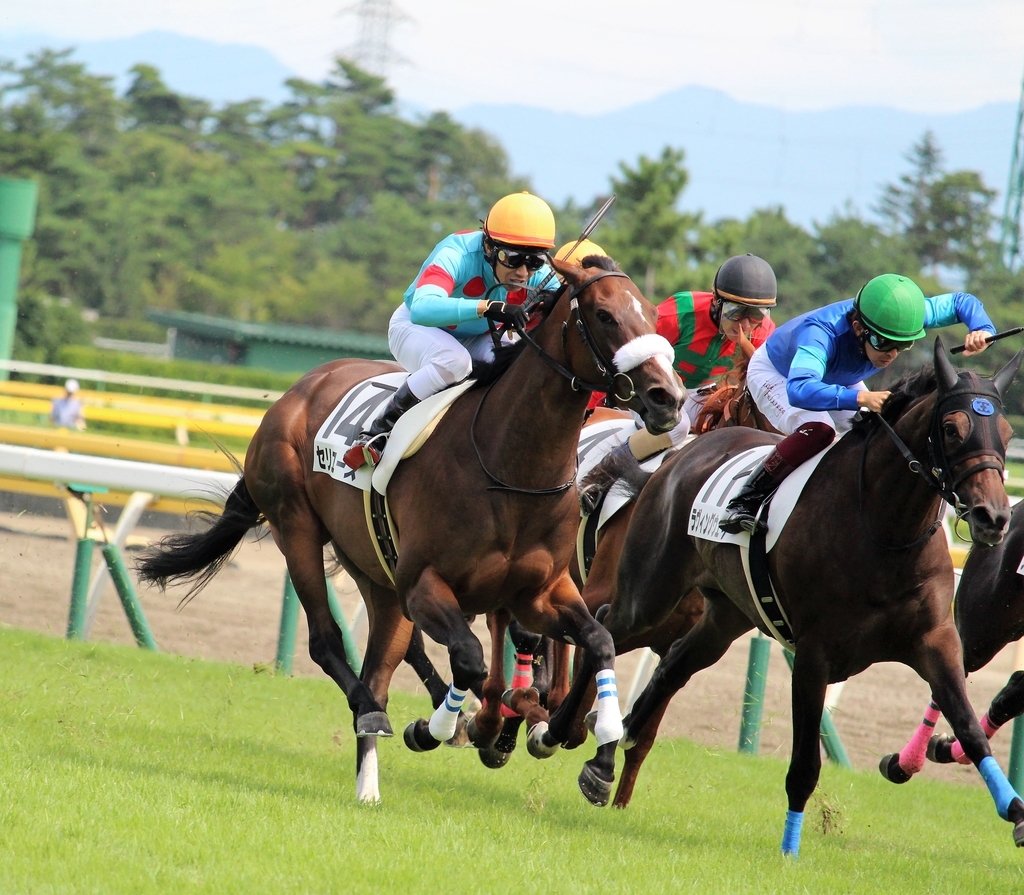 f:id:giant_killing:20180908222237j:plain