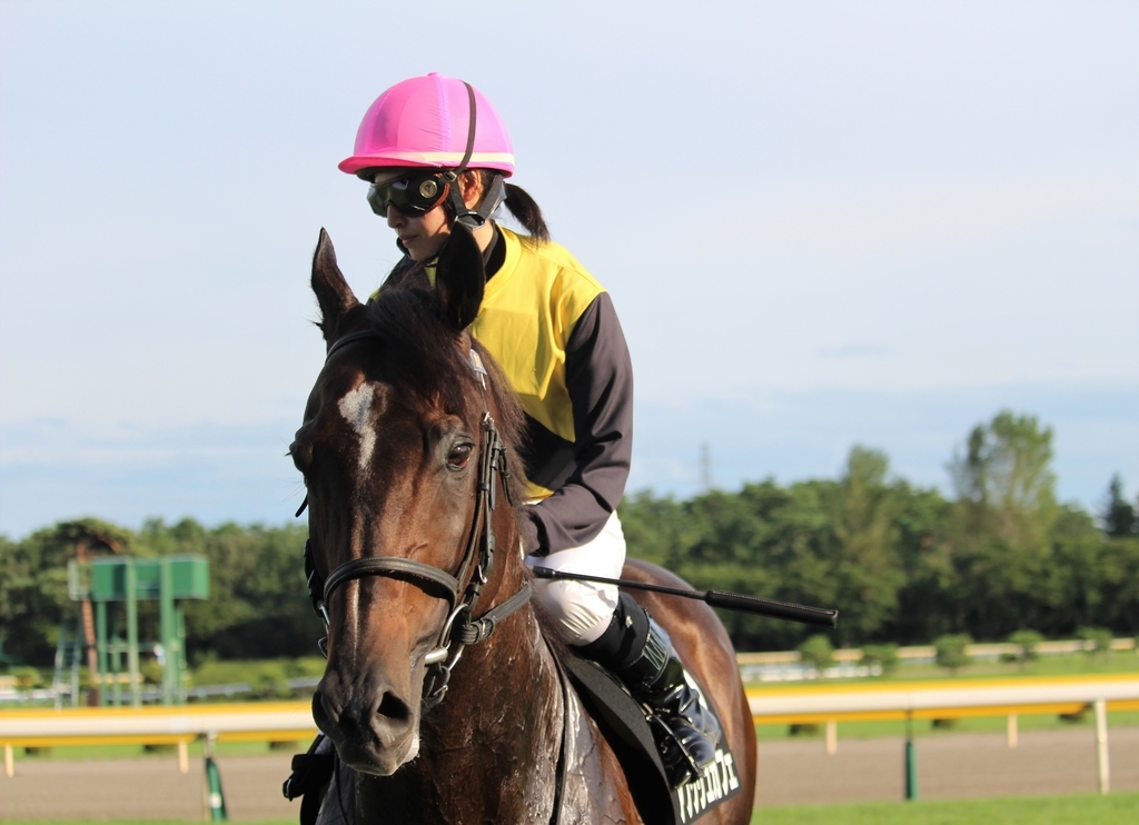 f:id:giant_killing:20180911204344j:plain f:id:giant_killing:20180911204344j:plain