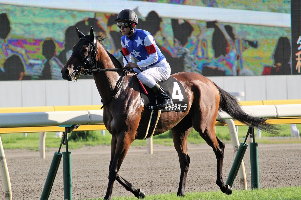 f:id:giant_killing:20180911204353j:plain f:id:giant_killing:20180911204353j:plain