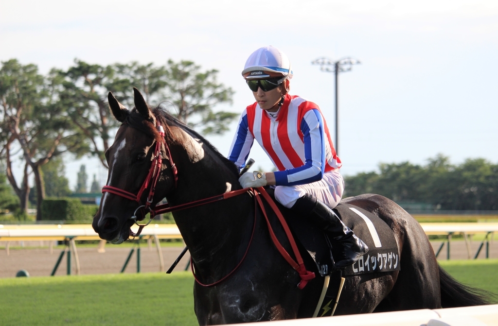 f:id:giant_killing:20180911204404j:plain f:id:giant_killing:20180911204404j:plain