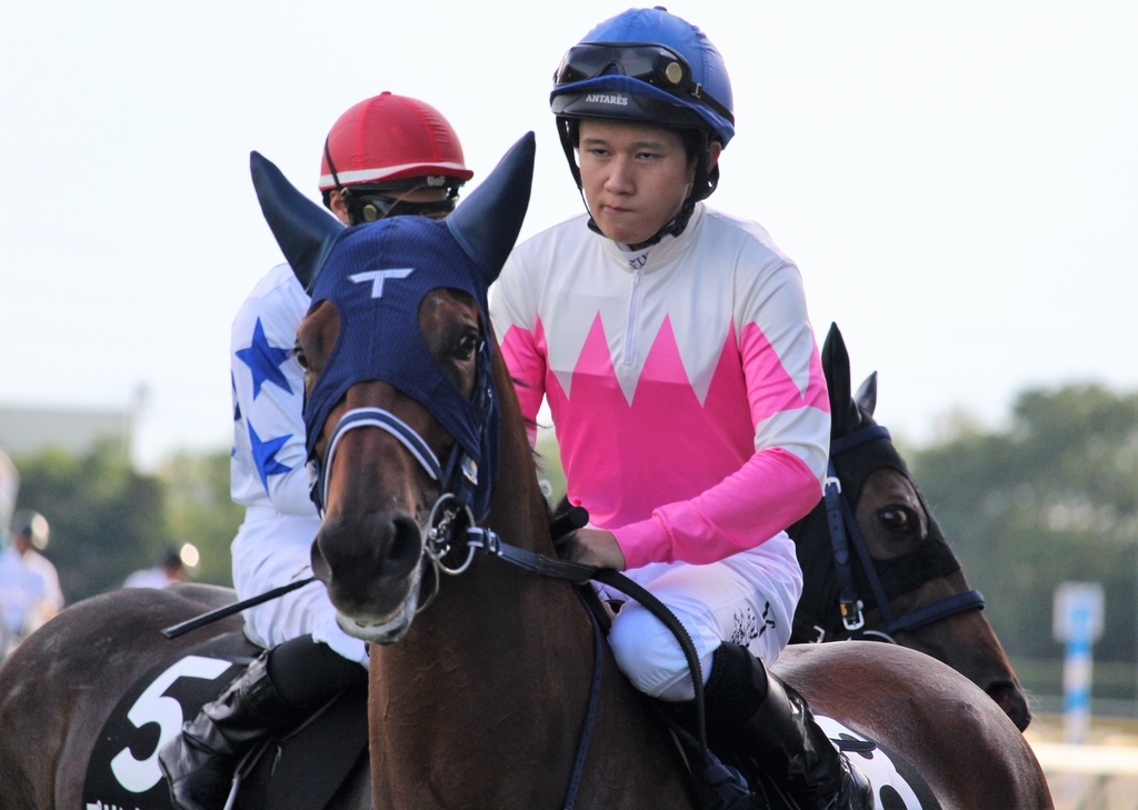 f:id:giant_killing:20180911204434j:plain f:id:giant_killing:20180911204434j:plain