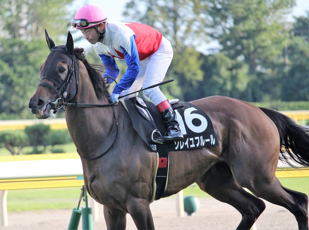 f:id:giant_killing:20180911204617j:plain f:id:giant_killing:20180911204617j:plain