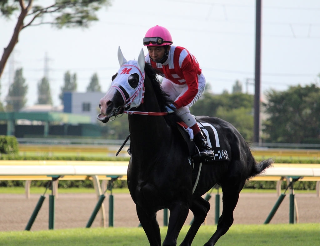 f:id:giant_killing:20180911204626j:plain f:id:giant_killing:20180911204626j:plain