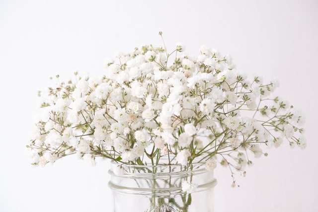 白い花が花瓶に生けられている
