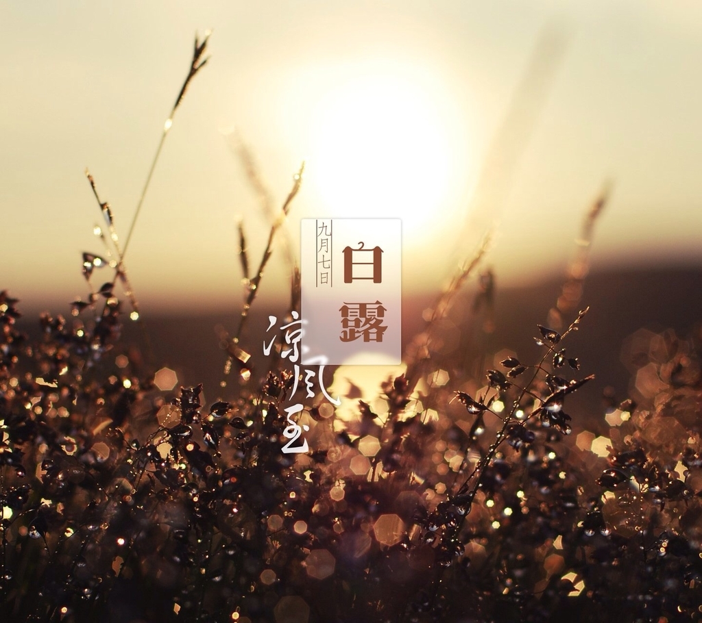 f:id:gifteddecoboko:20180908202608j:plain f:id:gifteddecoboko:20180908202608j:plain