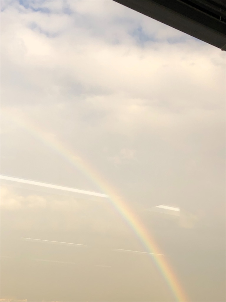 f:id:gifteddecoboko:20190115191306j:image f:id:gifteddecoboko:20190115191306j:image