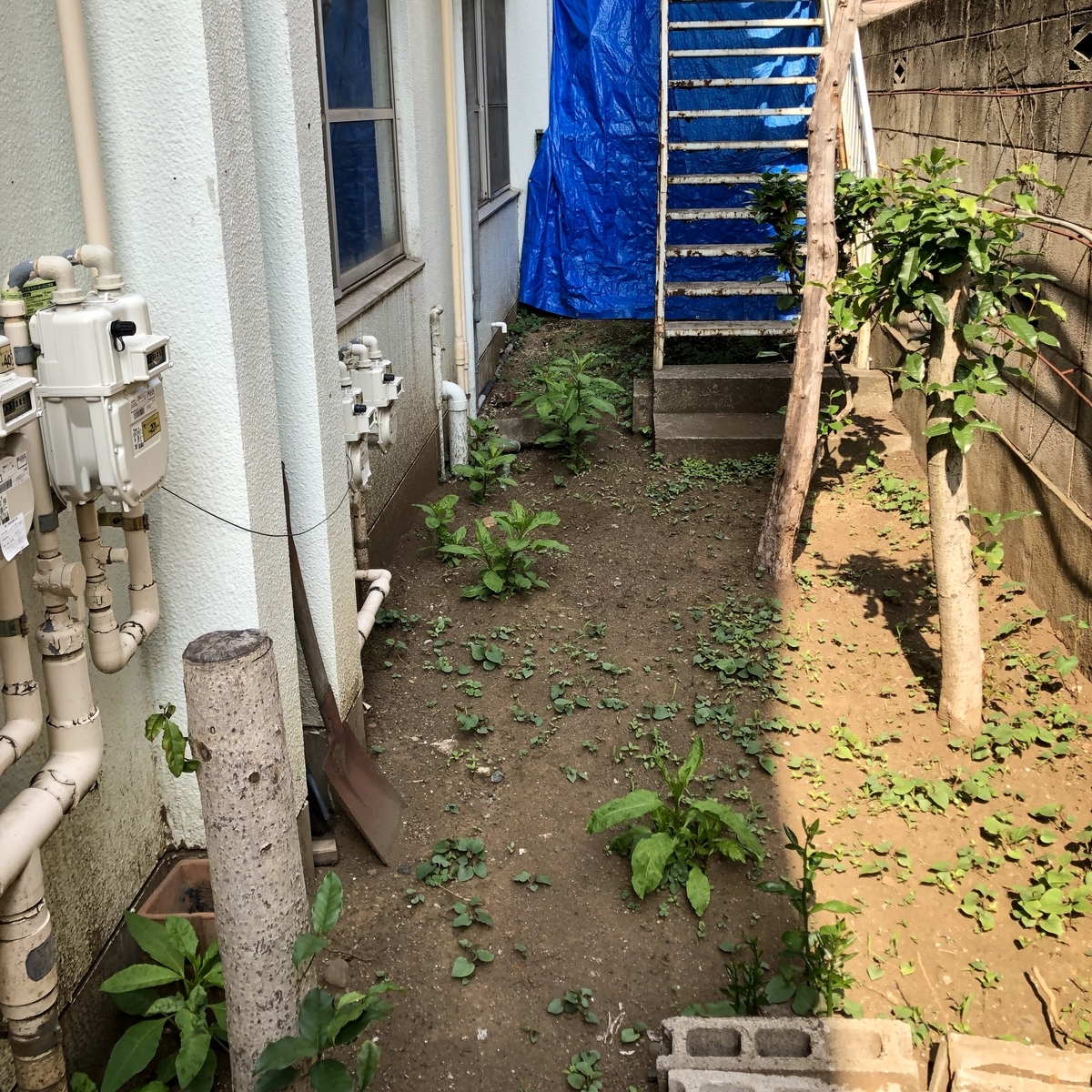 f:id:gigan_yamazaki:20190629051252j:plain