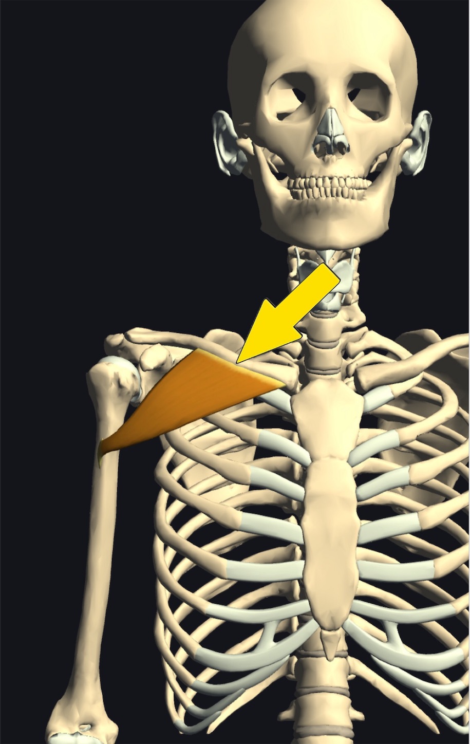 f:id:gigantic_dragon:20191012115646j:image