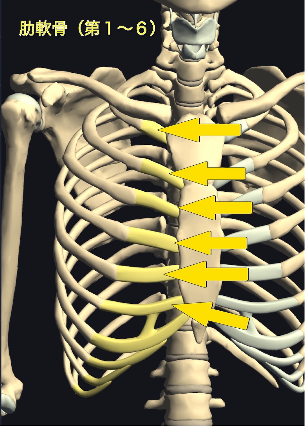 f:id:gigantic_dragon:20191012120612j:image