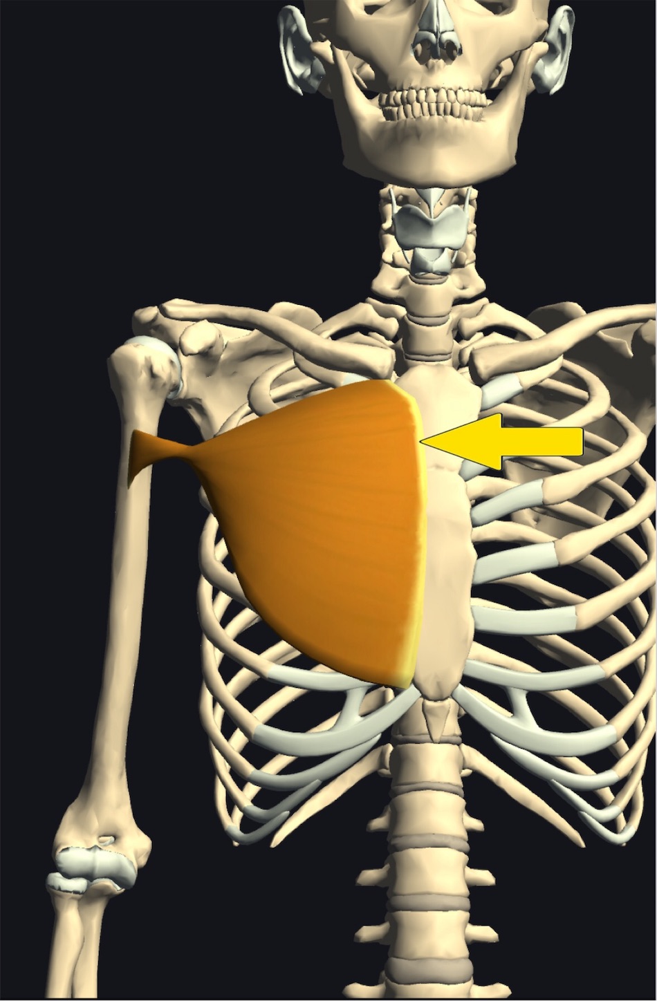 f:id:gigantic_dragon:20191012120647j:image