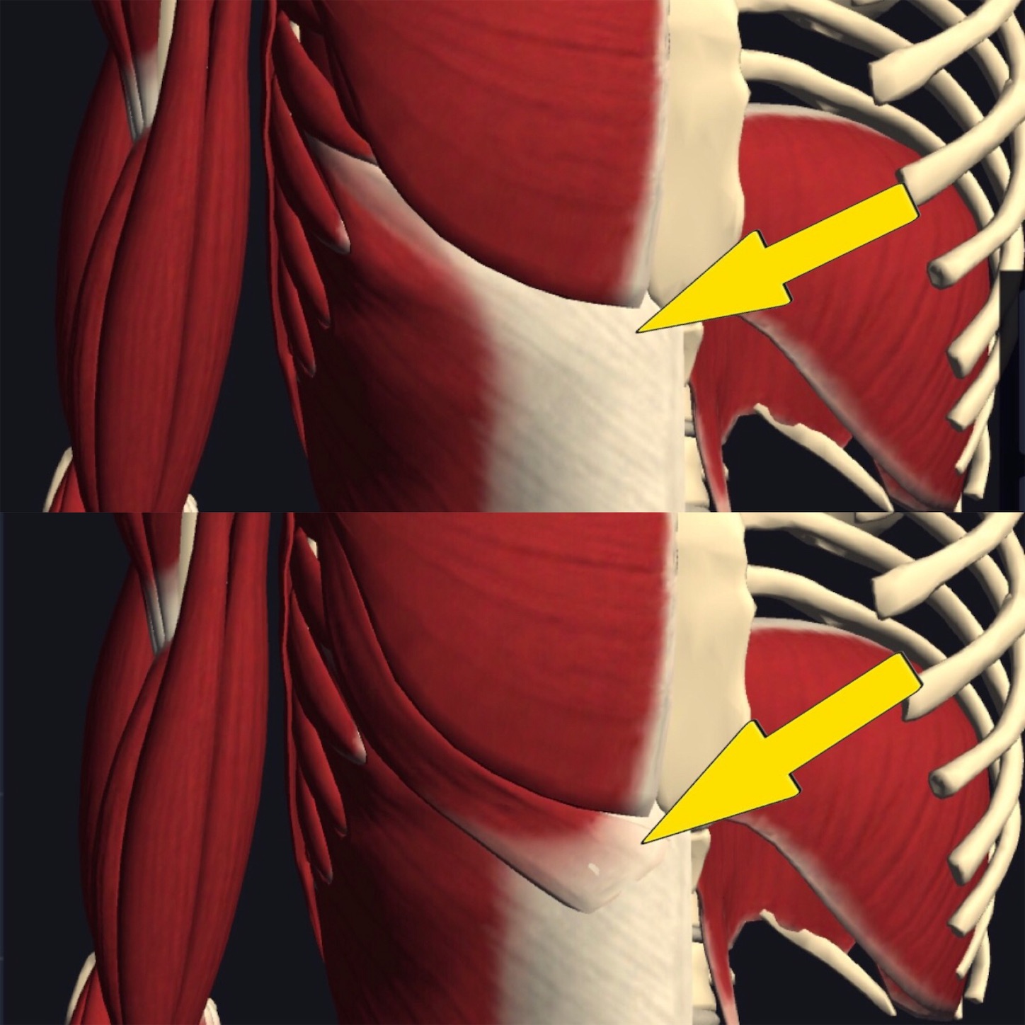 f:id:gigantic_dragon:20191012121224j:image