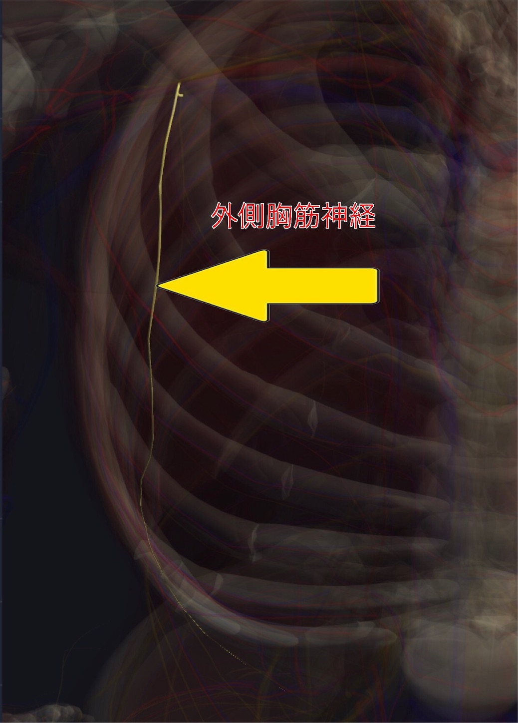 f:id:gigantic_dragon:20191012123031j:image