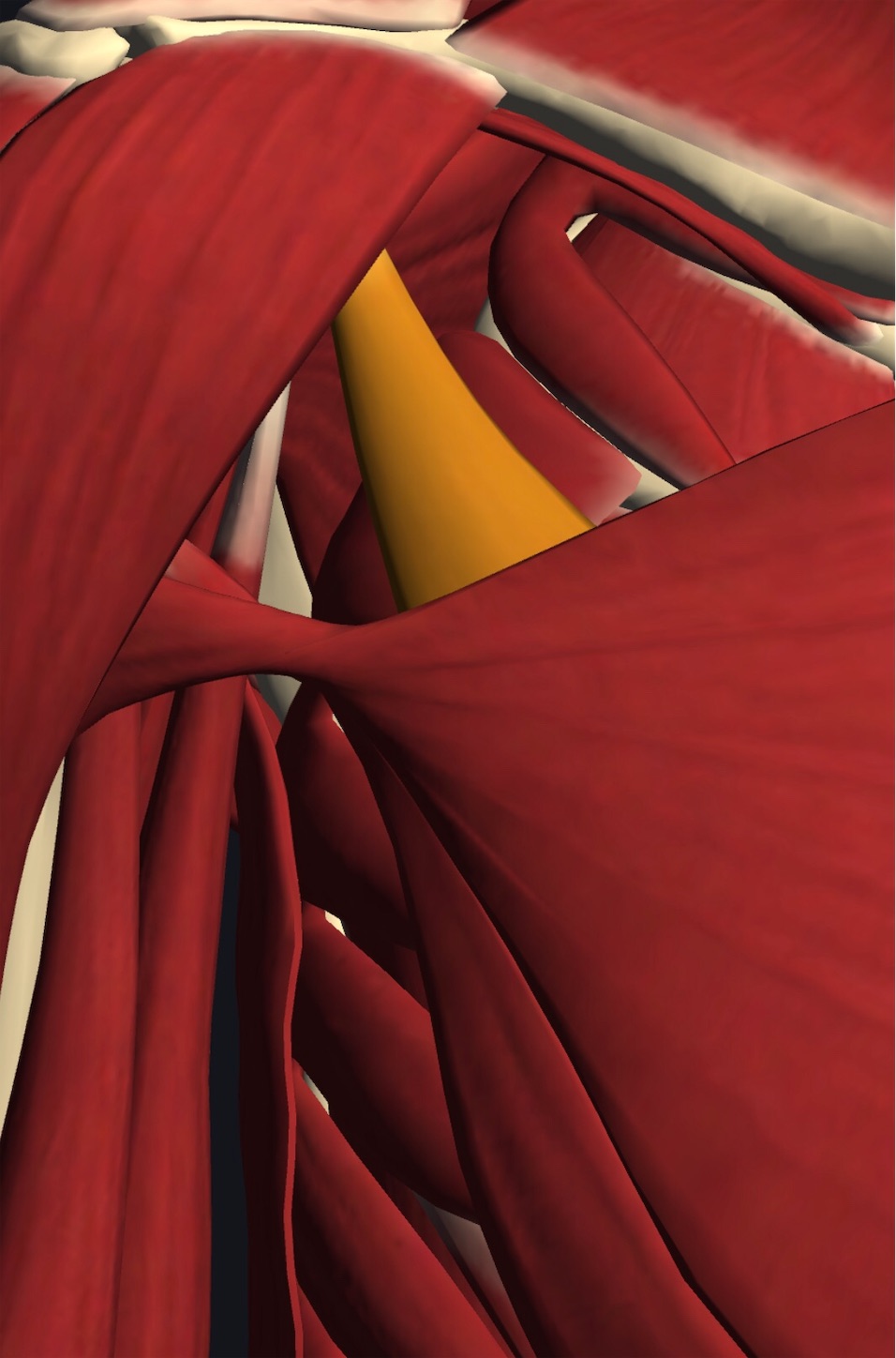 f:id:gigantic_dragon:20191013045128j:image