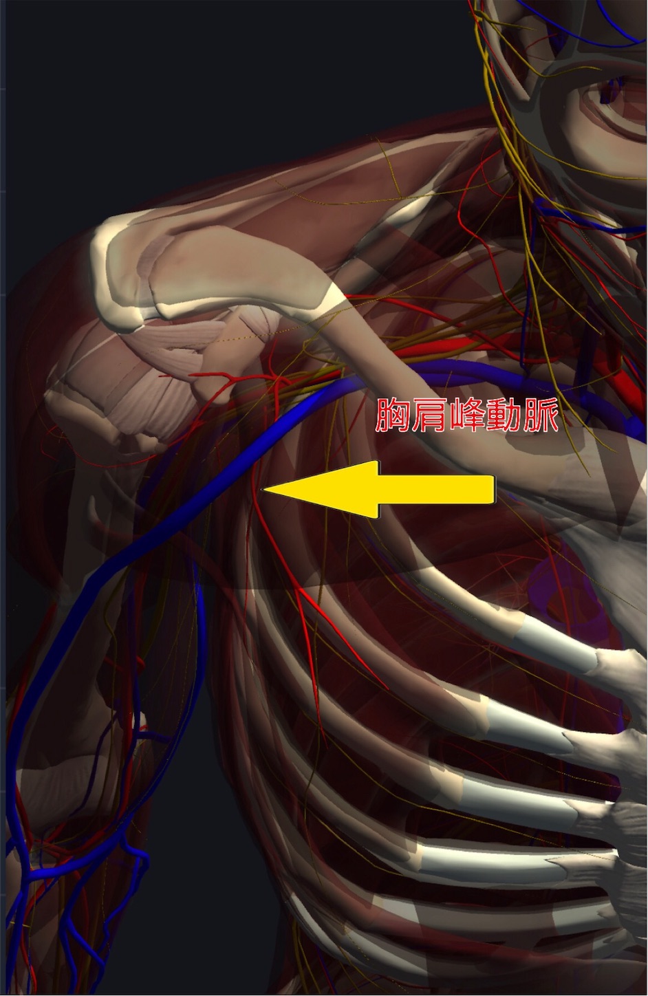 f:id:gigantic_dragon:20191013050928j:image