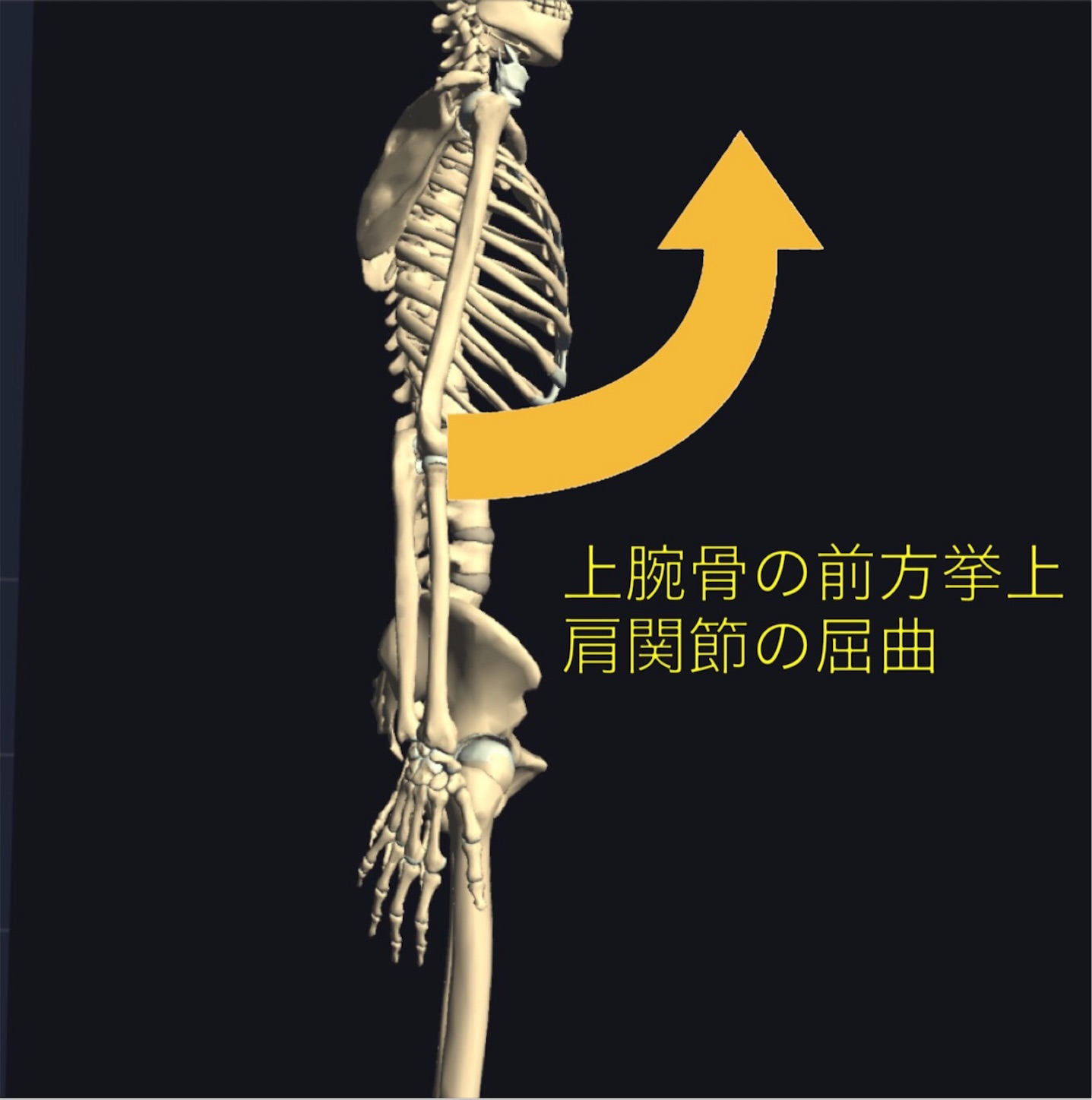 f:id:gigantic_dragon:20191013090611j:image