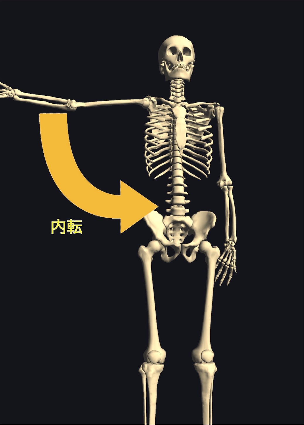 f:id:gigantic_dragon:20191013090729j:image