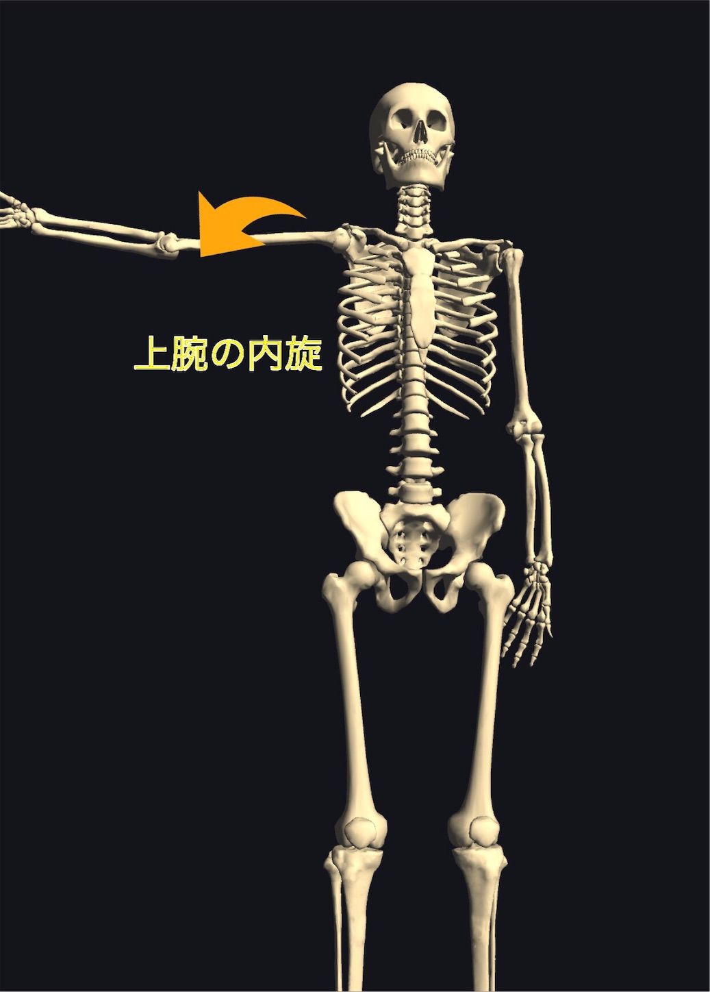 f:id:gigantic_dragon:20191013090954j:image