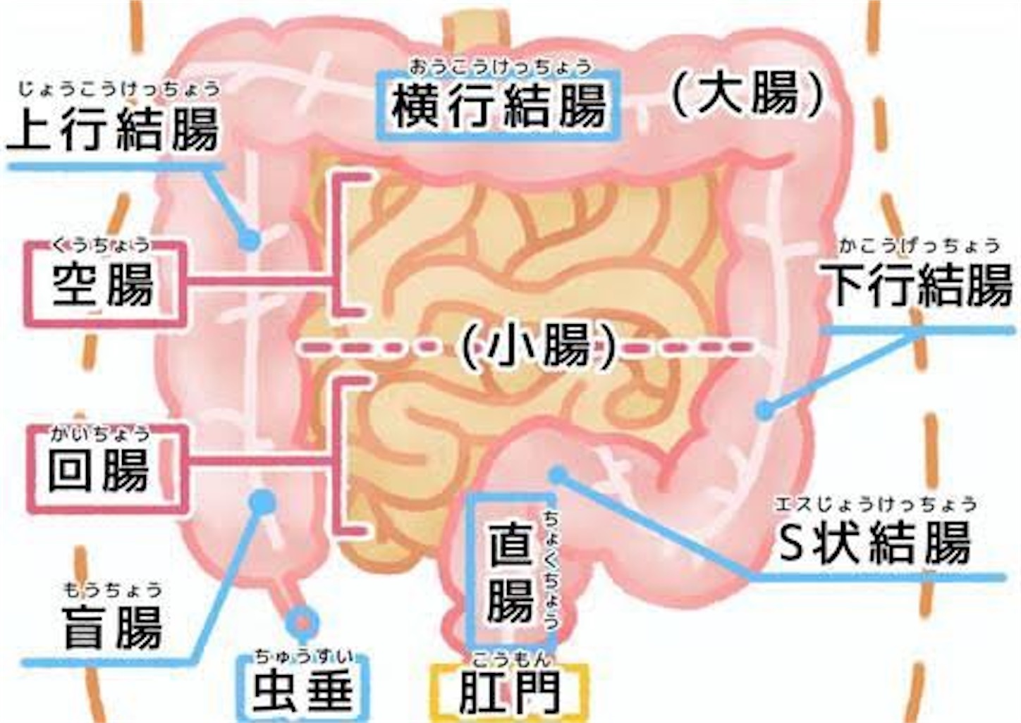 f:id:gigantic_dragon:20210414140125j:image f:id:gigantic_dragon:20210414140125j:image