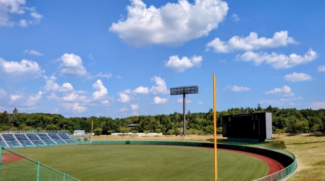 野球観戦 ユニフォーム着ない