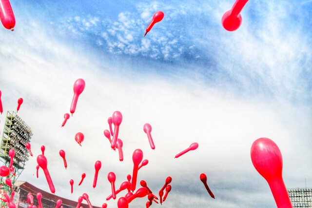 野球観戦 ユニフォーム着ない