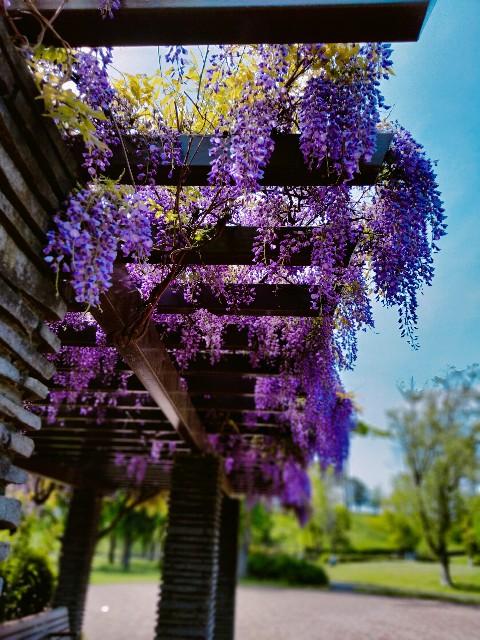 f:id:gikoblog:20240429092457j:image