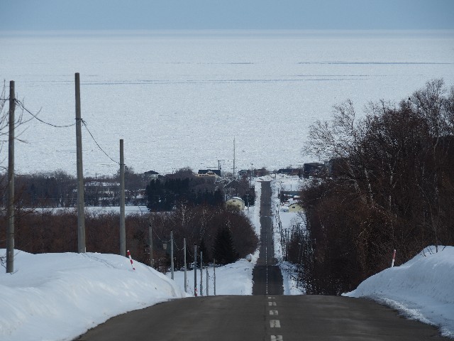 f:id:gikoblog:20250402072937j:image