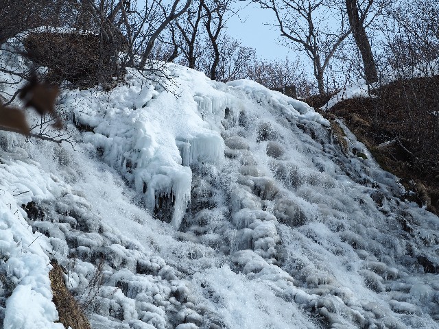 f:id:gikoblog:20250407120138j:image