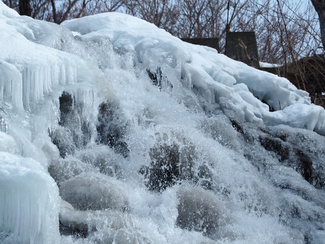 f:id:gikoblog:20250407120151j:image