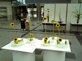 青年部花展 合同作