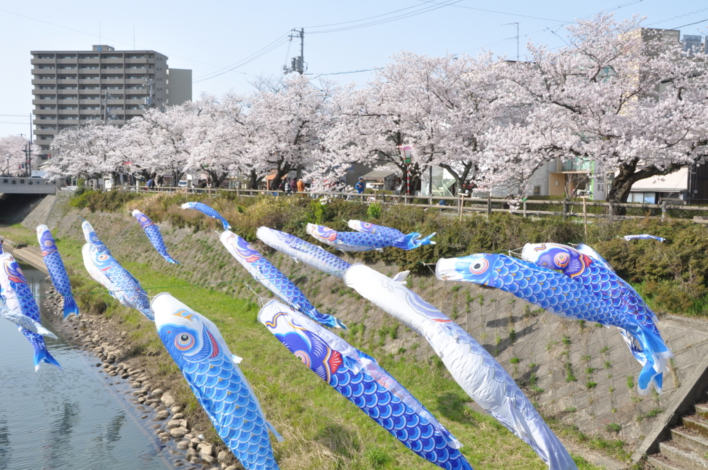 カシュガル　検問