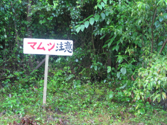 f:id:gillhanter:20110804062007j:image:w504