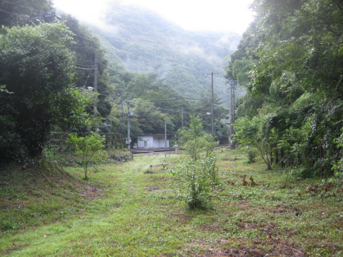 f:id:gillhanter:20110804062123j:image:w504
