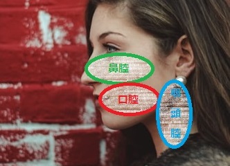 f:id:gilusu81:20200605180757j:plain